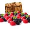 berry_treasure